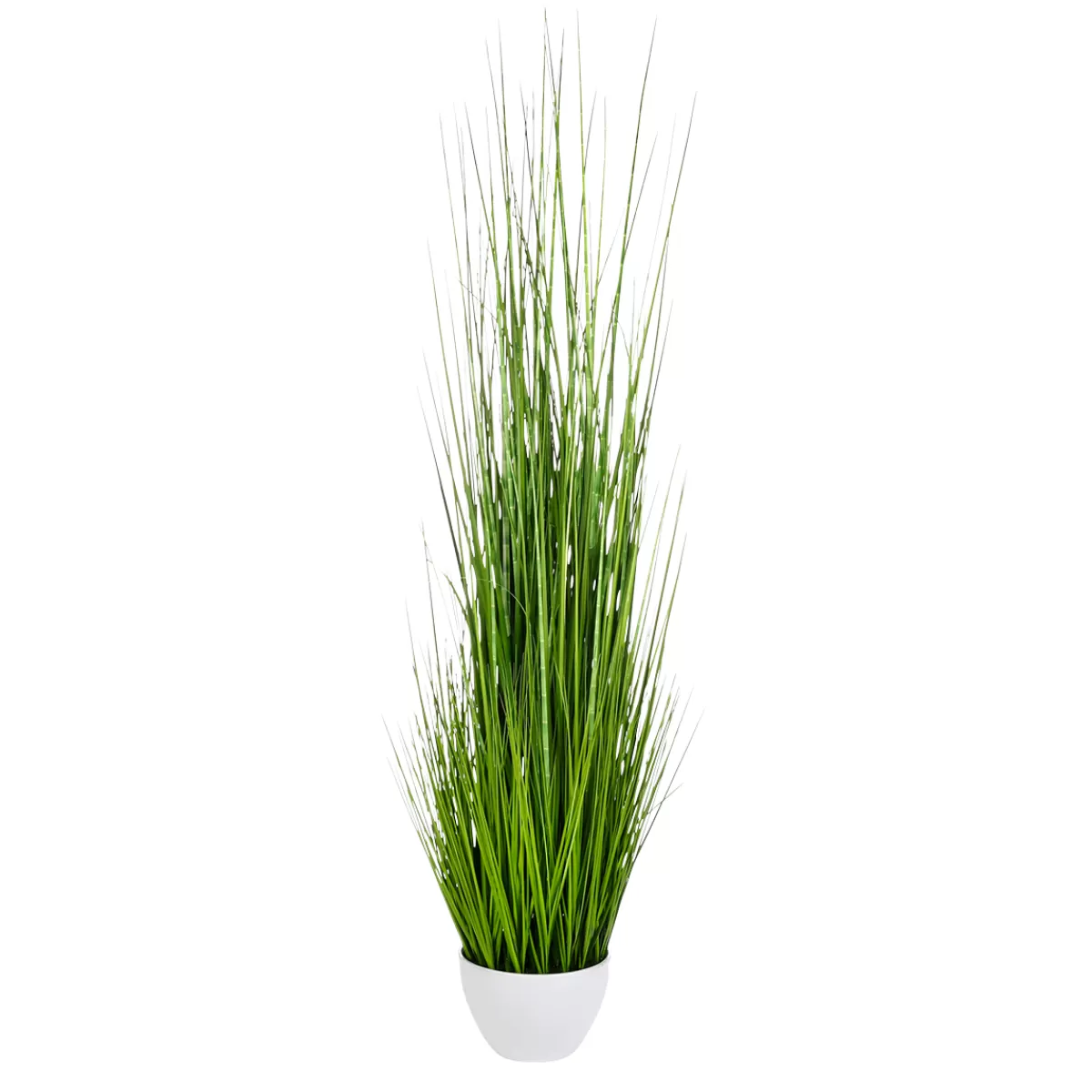 DecoWoerner Herbe Du Tigre Décorative XXL En Pot Blanc 150 Cm