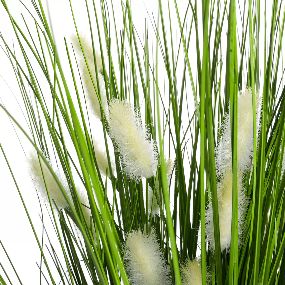 DecoWoerner Herbe Velours Décorative En Pot Noir 25 X 25 X 50 Cm