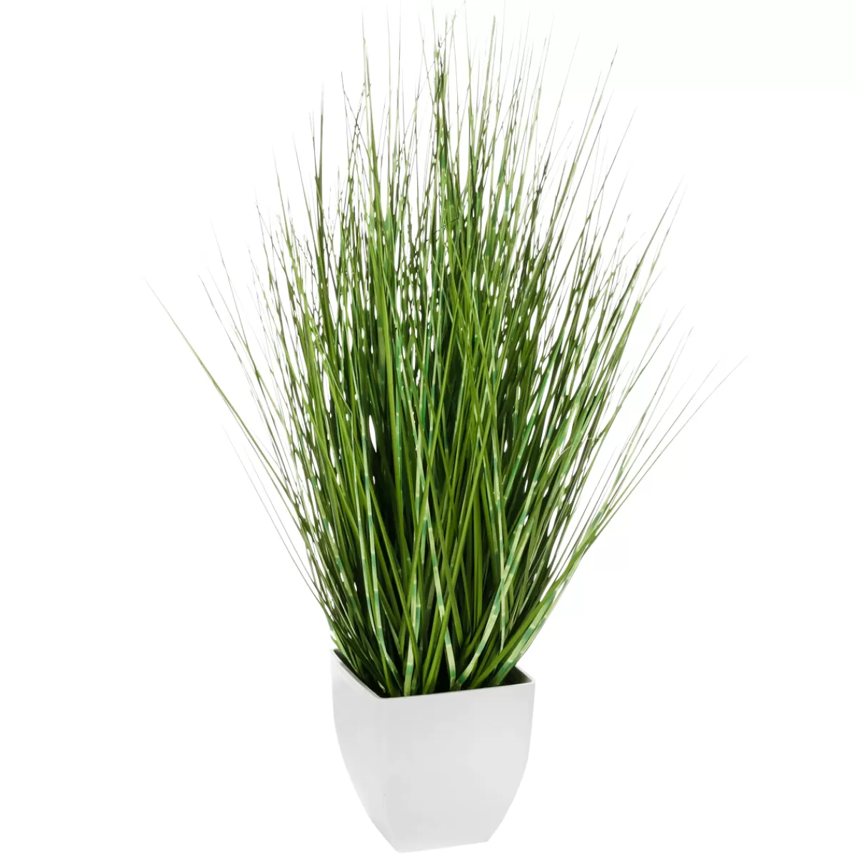 DecoWoerner Herbe Zébrée Décorative En Pot Blanc 78 Cm