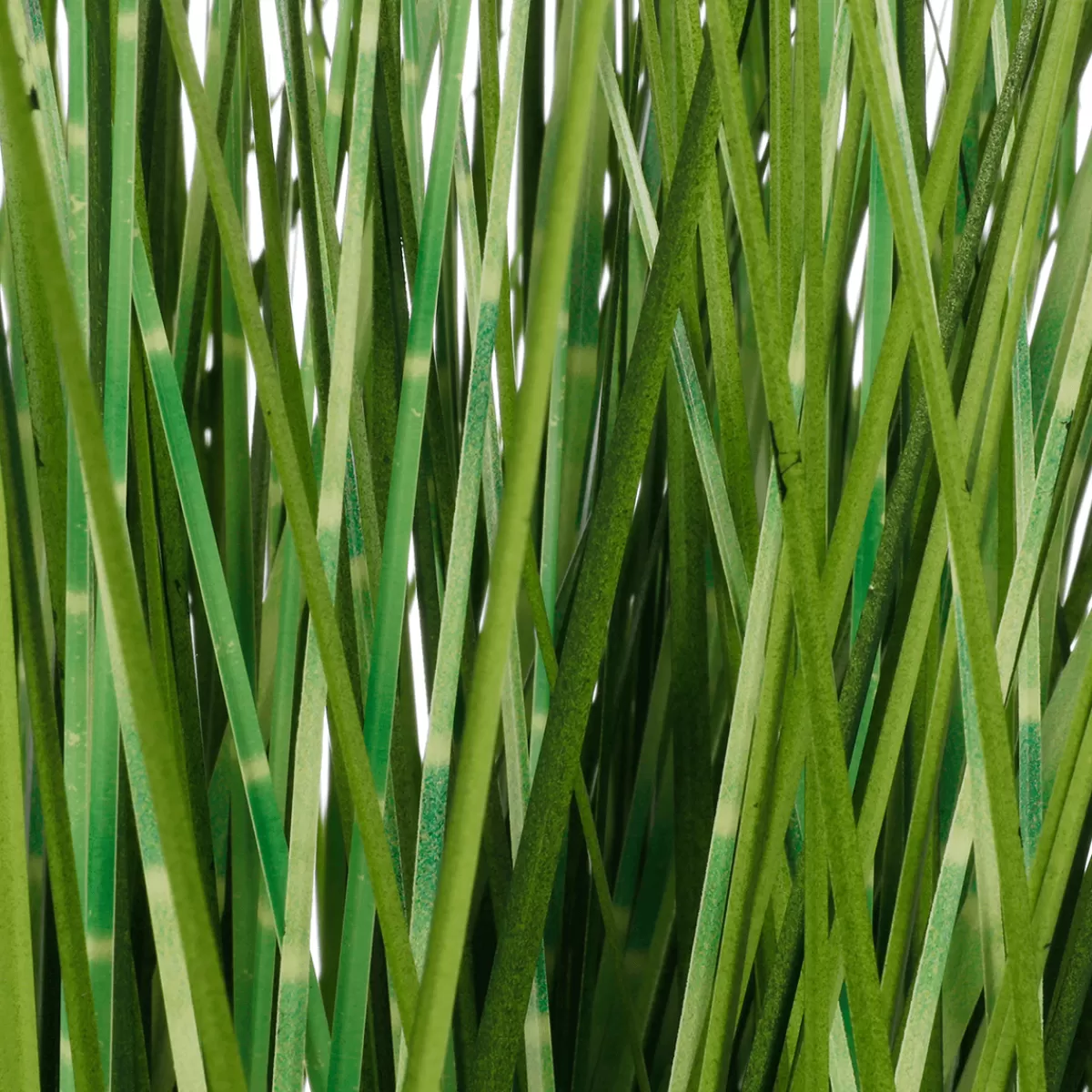 DecoWoerner Herbe Zébrée Décorative En Pot Blanc 78 Cm
