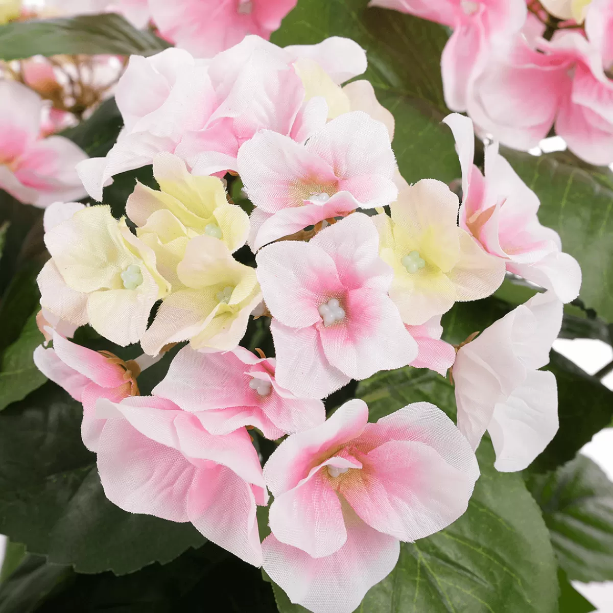 DecoWoerner Hortensias Artificiels Dans Une Corbeille 44 Cm