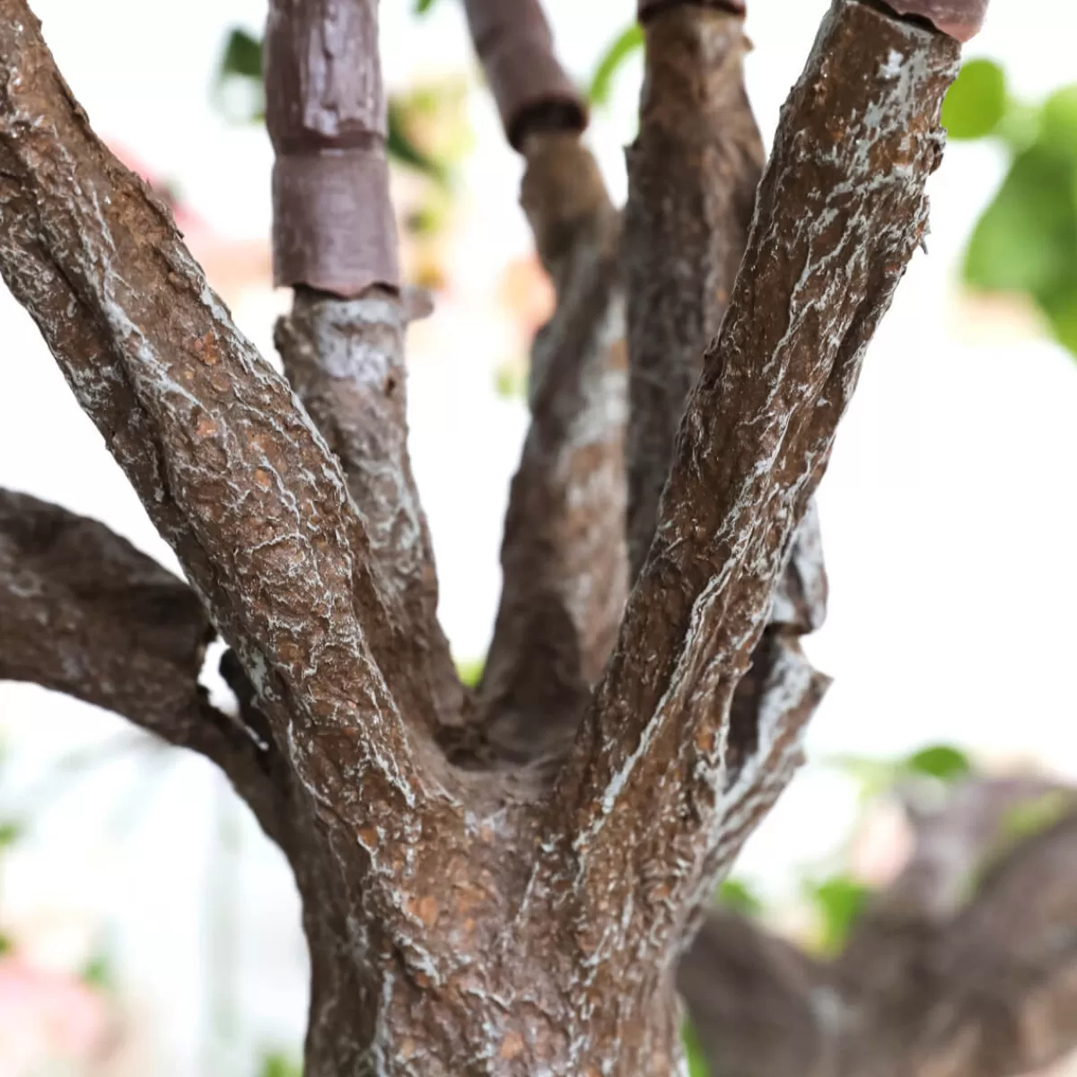 le_rosier_artificiel_blancros_210_cm_4.webp DecoWoerner Le Rosier Artificiel Blanc/rosé, 210 Cm