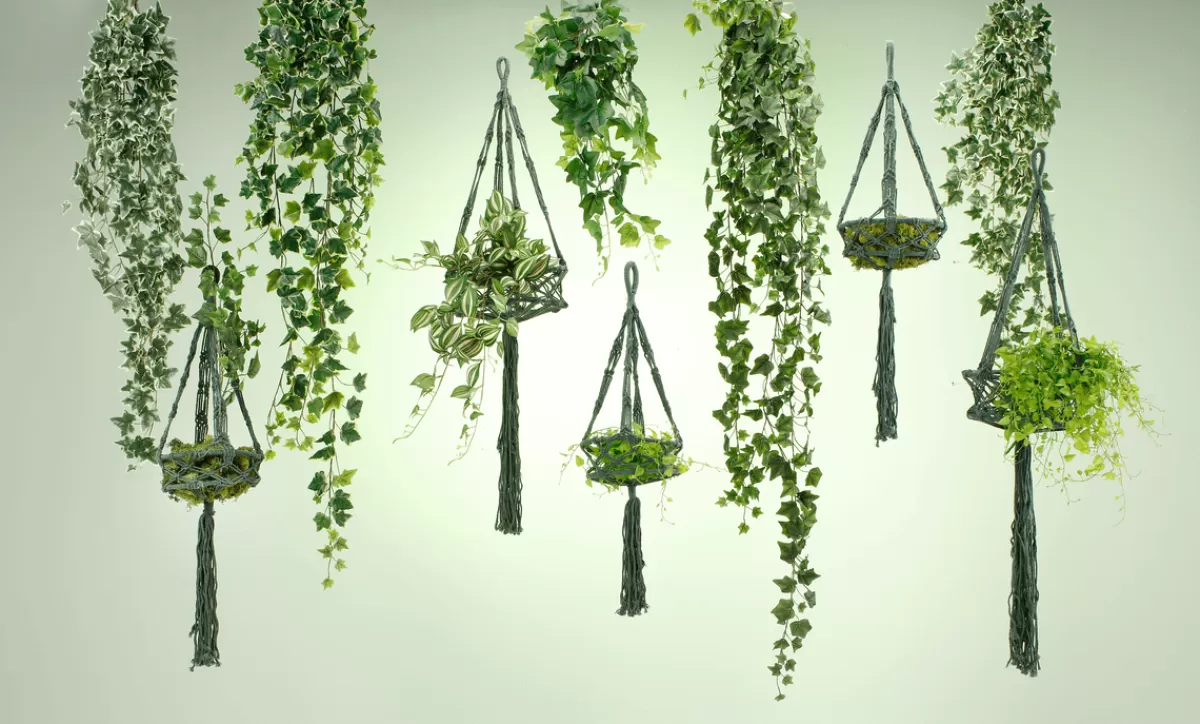 DecoWoerner Mini Branche De Lierre 58cm Long Pack De 2