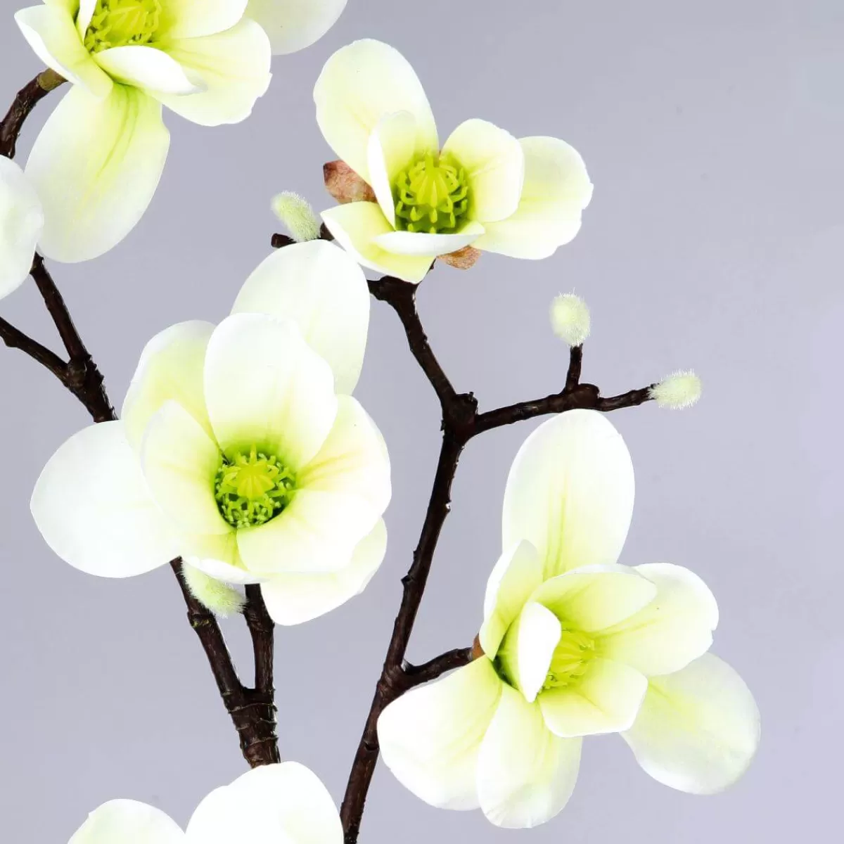 noble_branche_de_magnolia_artificielle_blanco_verde_100_cm_3.webp DecoWoerner Noble Branche De Magnolia Artificielle, o Verde, 100 Cm
