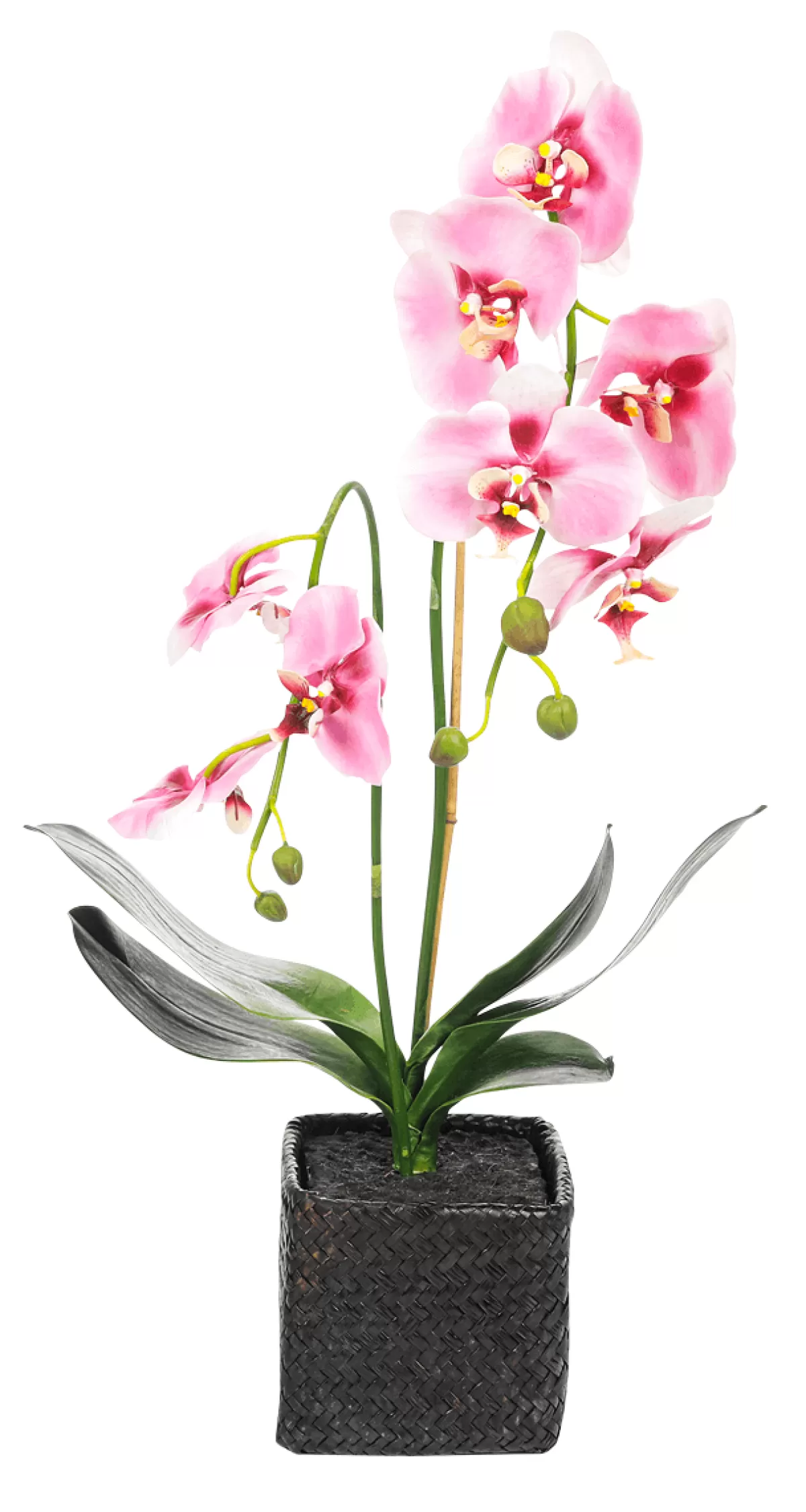 orchide_dcorative_en_pot_rose_80_cm_4.webp DecoWoerner Orchidée Décorative En Pot 80 Cm