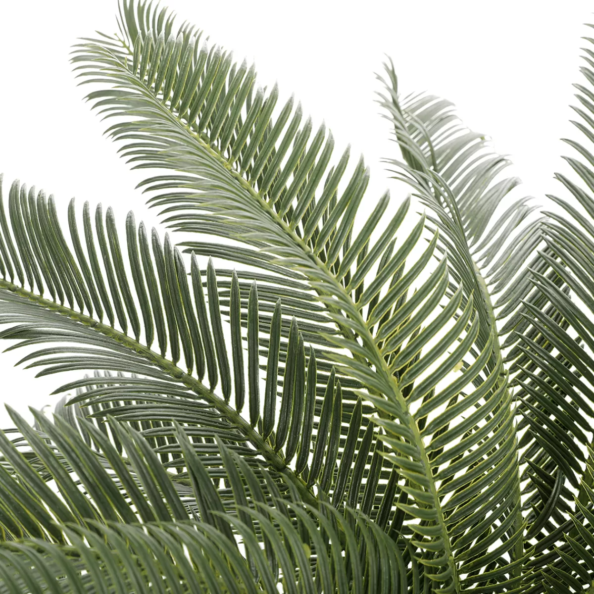 palmier_artificiel_cycaspalme_en_pot_prt__lemploi_65_cm_3.webp DecoWoerner Palmier Artificiel Cycaspalme En Pot Prêt à L'emploi 65 Cm