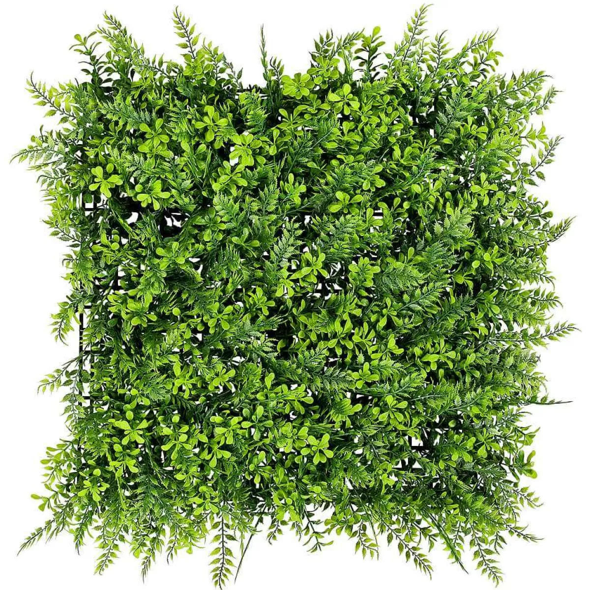 panneau_de_fougresbuis_artificiels_50_x_50_cm_1.webp DecoWoerner Panneau De Fougères-buis Artificiels, 50 X 50 Cm