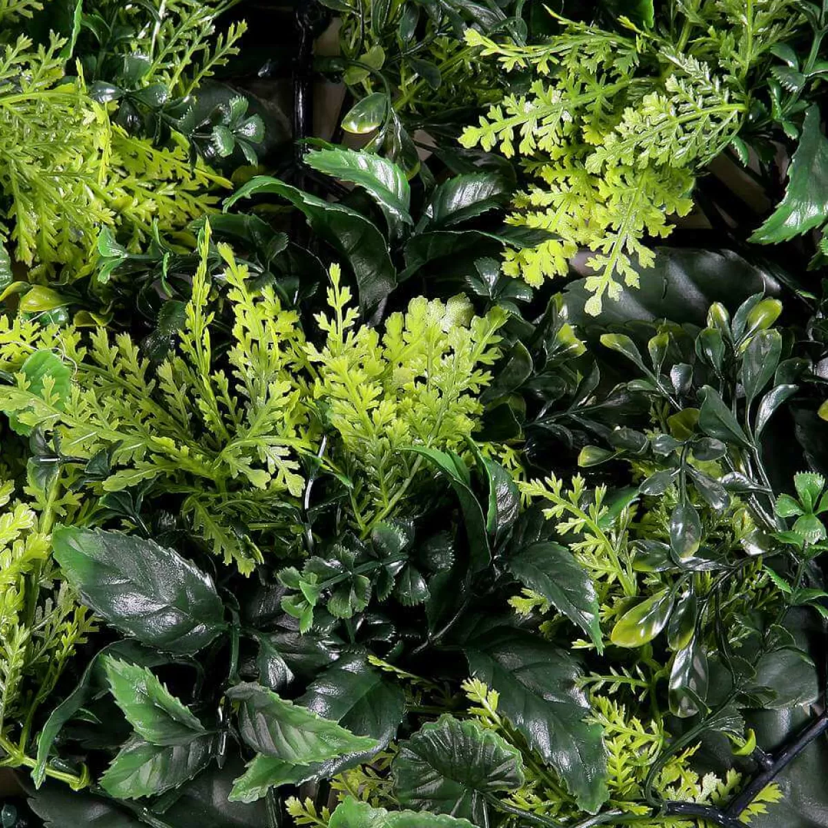 panneau_de_plantes_vertes_artificielles_50_x_50_cm_3.webp DecoWoerner Panneau De Plantes es Artificielles, 50 X 50 Cm