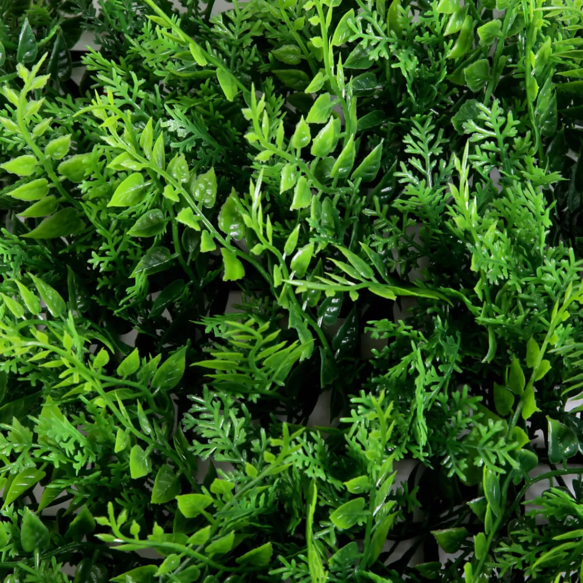 DecoWoerner Panneau D'eucalyptus-fougère Artificiel De Qualité Supérieure, 25 X 25 Cm