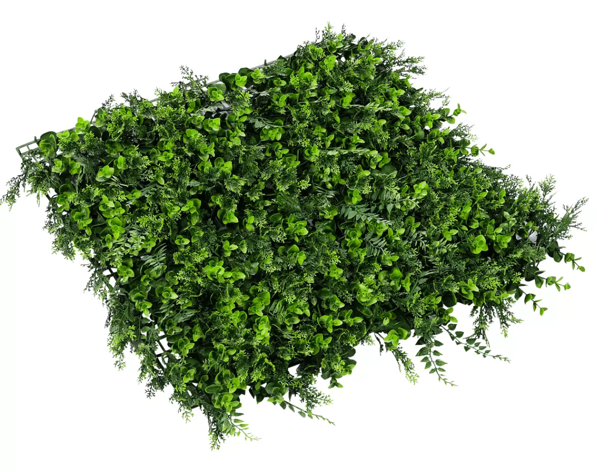 DecoWoerner Panneau D'eucalyptus-fougère Artificiel De Qualité Supérieure, 50 X 50 Cm