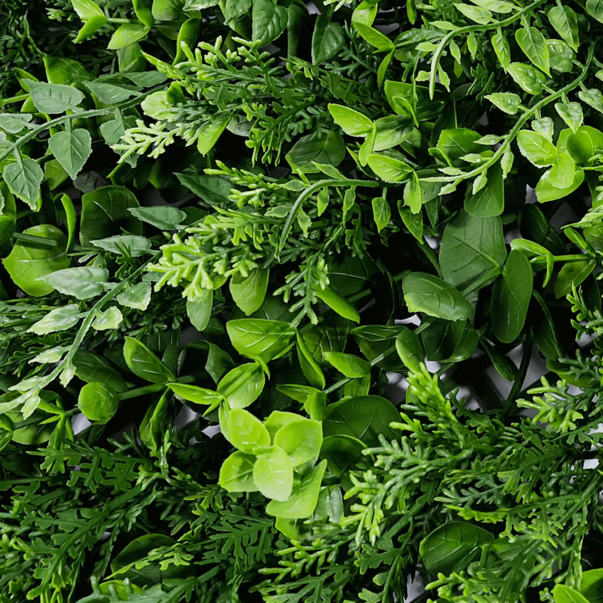 panneau_deucalyptusfougre_artificiel_de_qualit_suprieure_50_x_50_cm_3.webp DecoWoerner Panneau D'eucalyptus-fougère Artificiel De Qualité Supérieure, 50 X 50 Cm