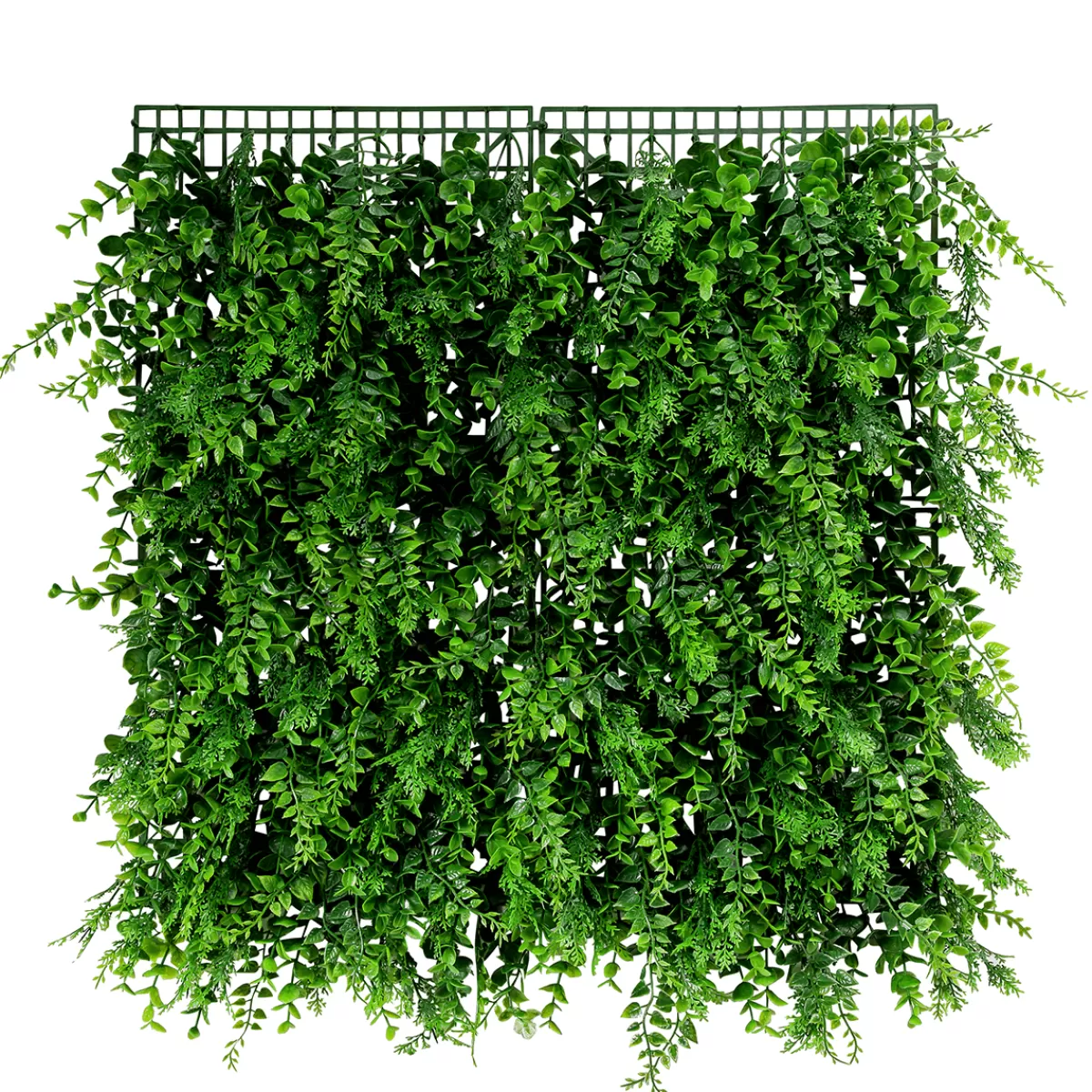 panneau_deucalyptusfougre_artificiel_de_qualit_suprieure_50_x_50_cm_4.webp DecoWoerner Panneau D'eucalyptus-fougère Artificiel De Qualité Supérieure, 50 X 50 Cm