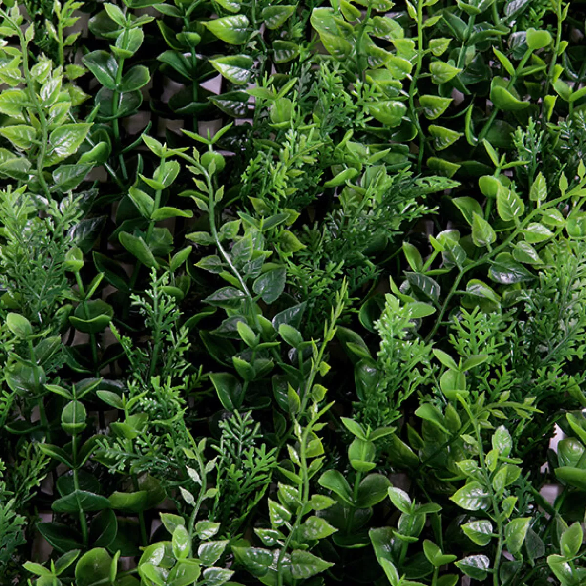 panneau_deucalyptusfougre_artificiel_de_qualit_suprieure_50_x_50_cm_6.webp DecoWoerner Panneau D'eucalyptus-fougère Artificiel De Qualité Supérieure, 50 X 50 Cm