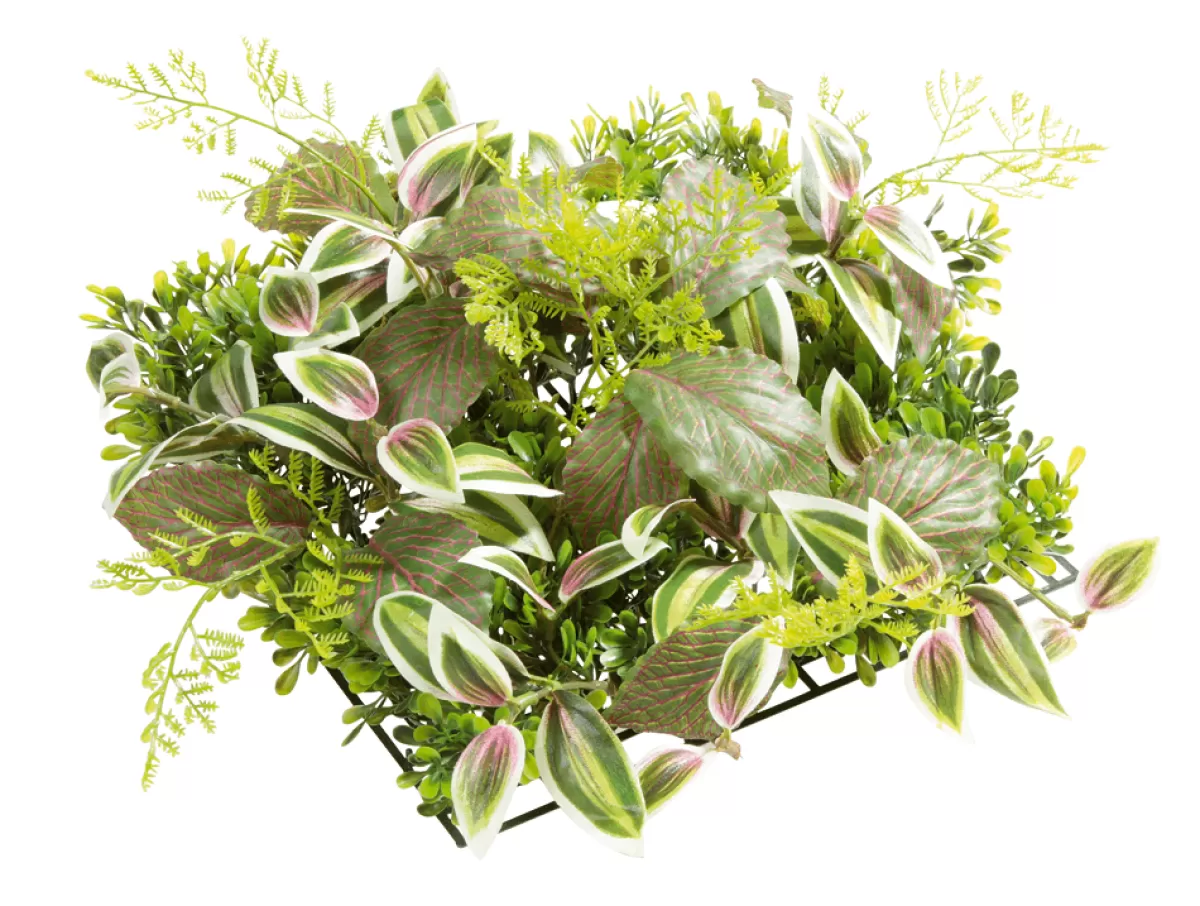 DecoWoerner Panneau En Buisson De Fittonia Artificiel 25 X 25 Cm