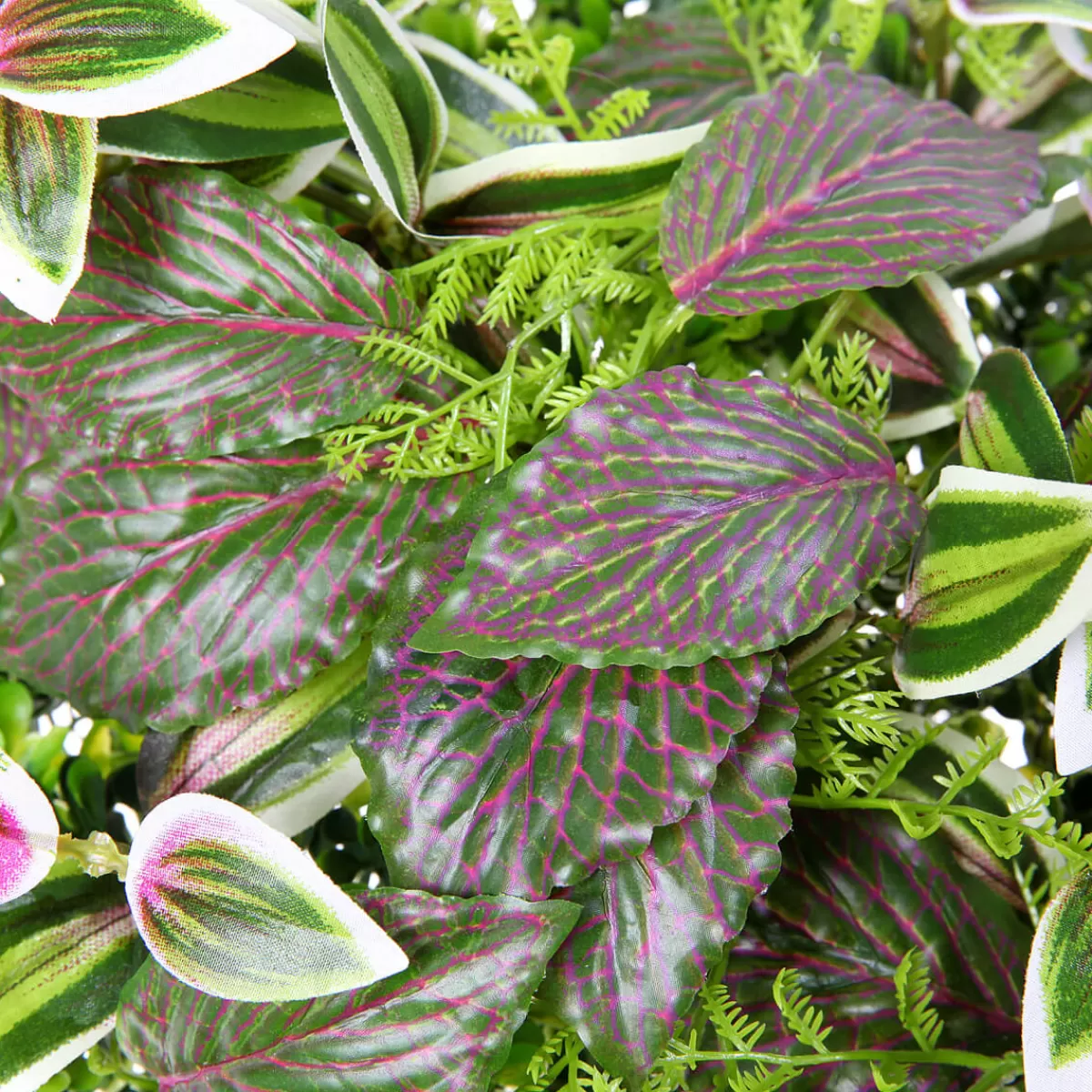 panneau_en_buisson_de_fittonia_artificiel_25_x_25_cm_3.webp DecoWoerner Panneau En Buisson De Fittonia Artificiel 25 X 25 Cm