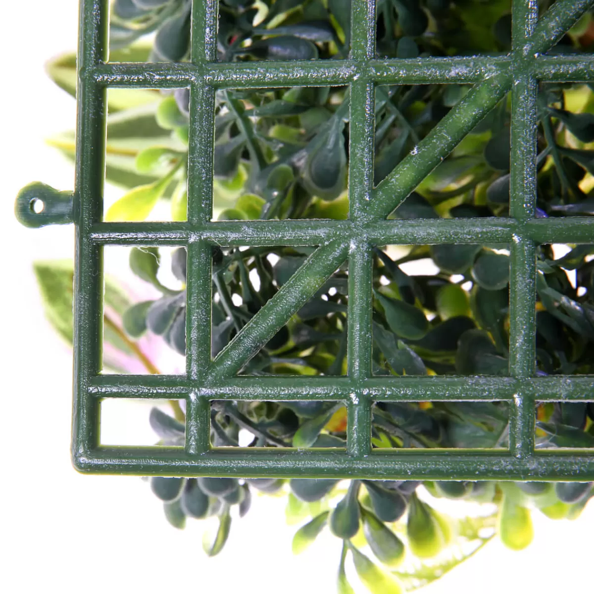 panneau_en_buisson_de_fittonia_artificiel_25_x_25_cm_5.webp DecoWoerner Panneau En Buisson De Fittonia Artificiel 25 X 25 Cm