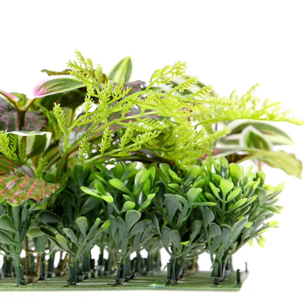 panneau_en_buisson_de_fittonia_artificiel_25_x_25_cm_7.webp DecoWoerner Panneau En Buisson De Fittonia Artificiel 25 X 25 Cm