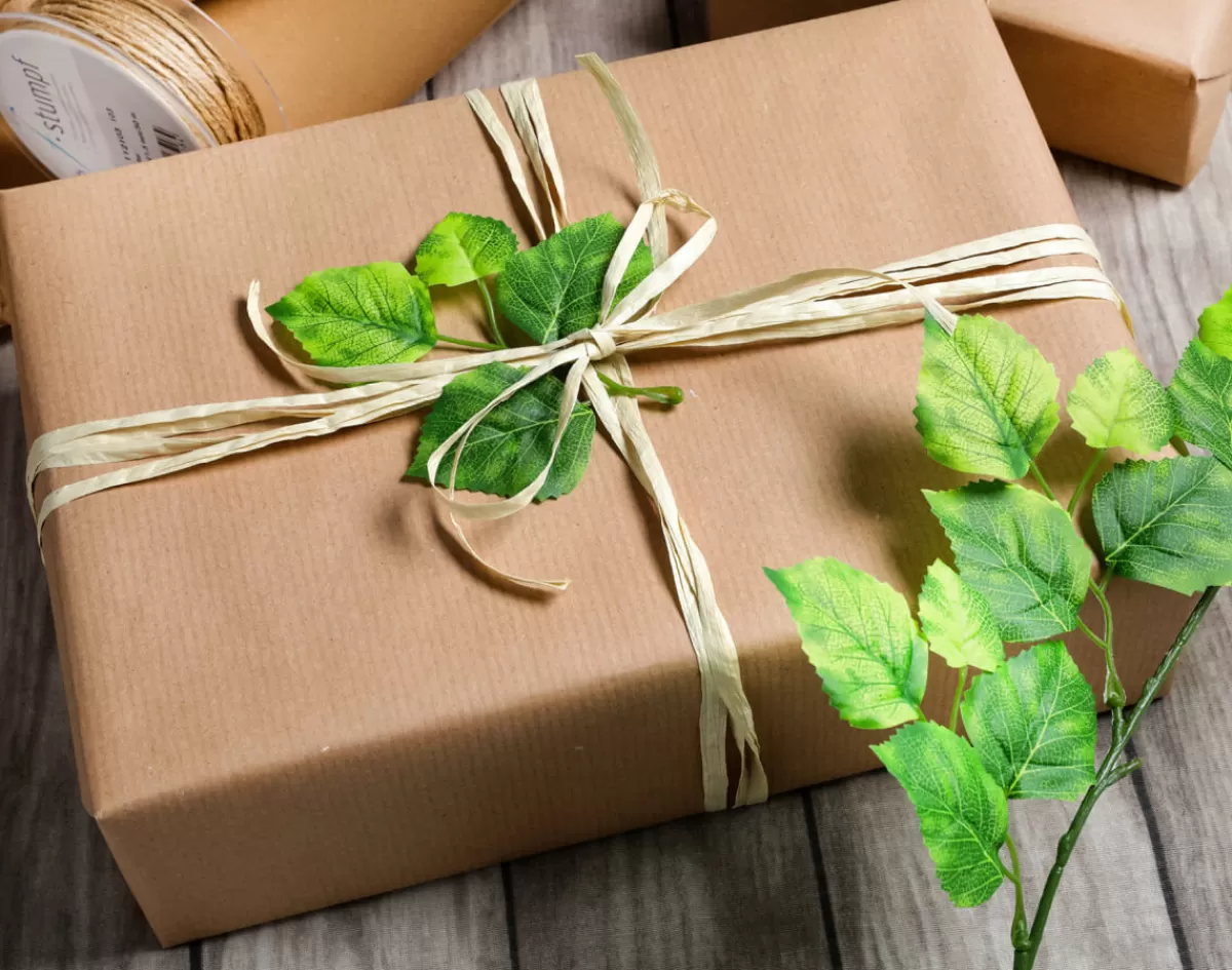 DecoWoerner Paquet économique Emballage Cadeau Go Green Avec Raphia Blanc Et Ruban De Jute