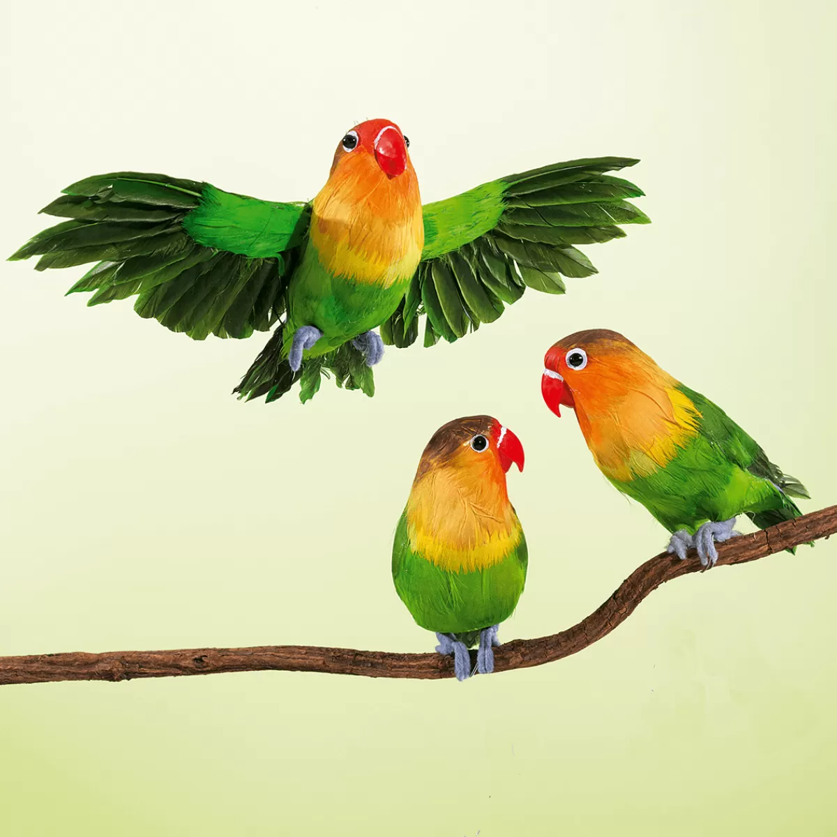 DecoWoerner Perroquet Déco Inséparable Rosegorge Assis 20 Cm, 2 Pces