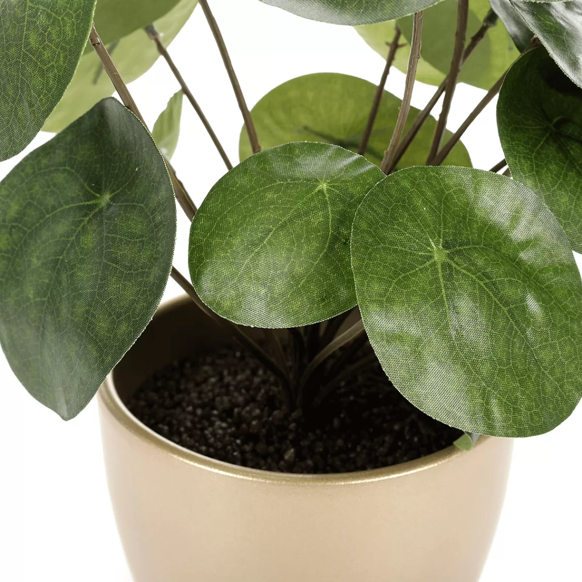 DecoWoerner Pilea Artificiel Décoratif En Pot ,Plante à Crêpes 25 Cm