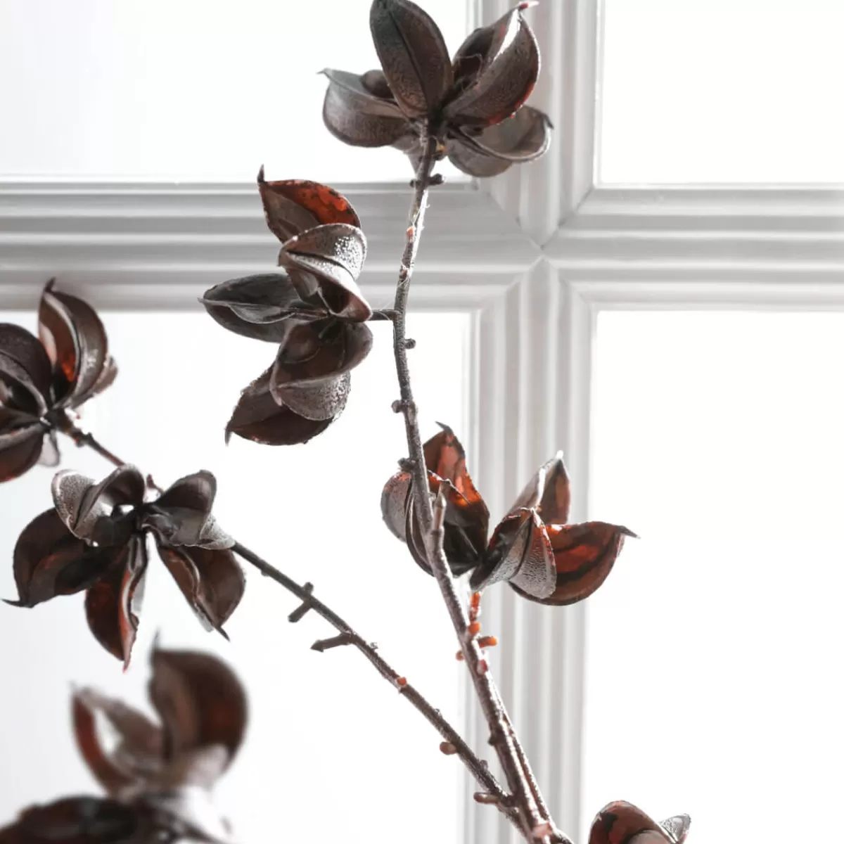 rameau_dco_infrutescence_de_coton_110_cm_3.webp DecoWoerner Rameau Déco Infrutescence De Coton 110 Cm