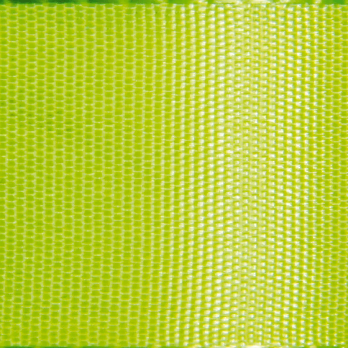 DecoWoerner Ruban De Taffetas Avec Lisière Tissée 25 Mm, 50 M, Pomme