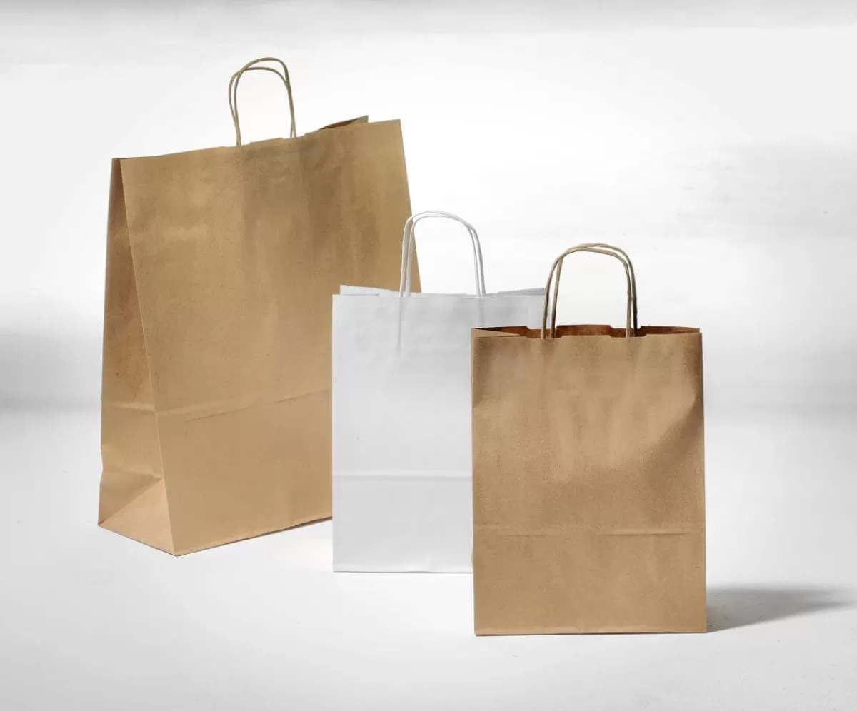 DecoWoerner Sac En Papier, , Dim. 1 : 36 X 22 + 10 Cm