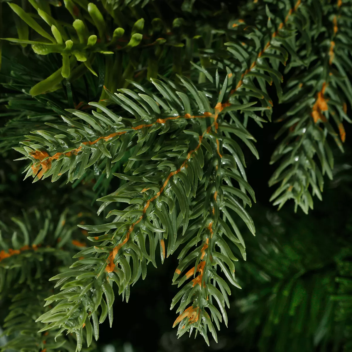 sapin_artificiel_colorado_18_m_4-1.webp DecoWoerner Sapin Artificiel Colorado 1,8 M