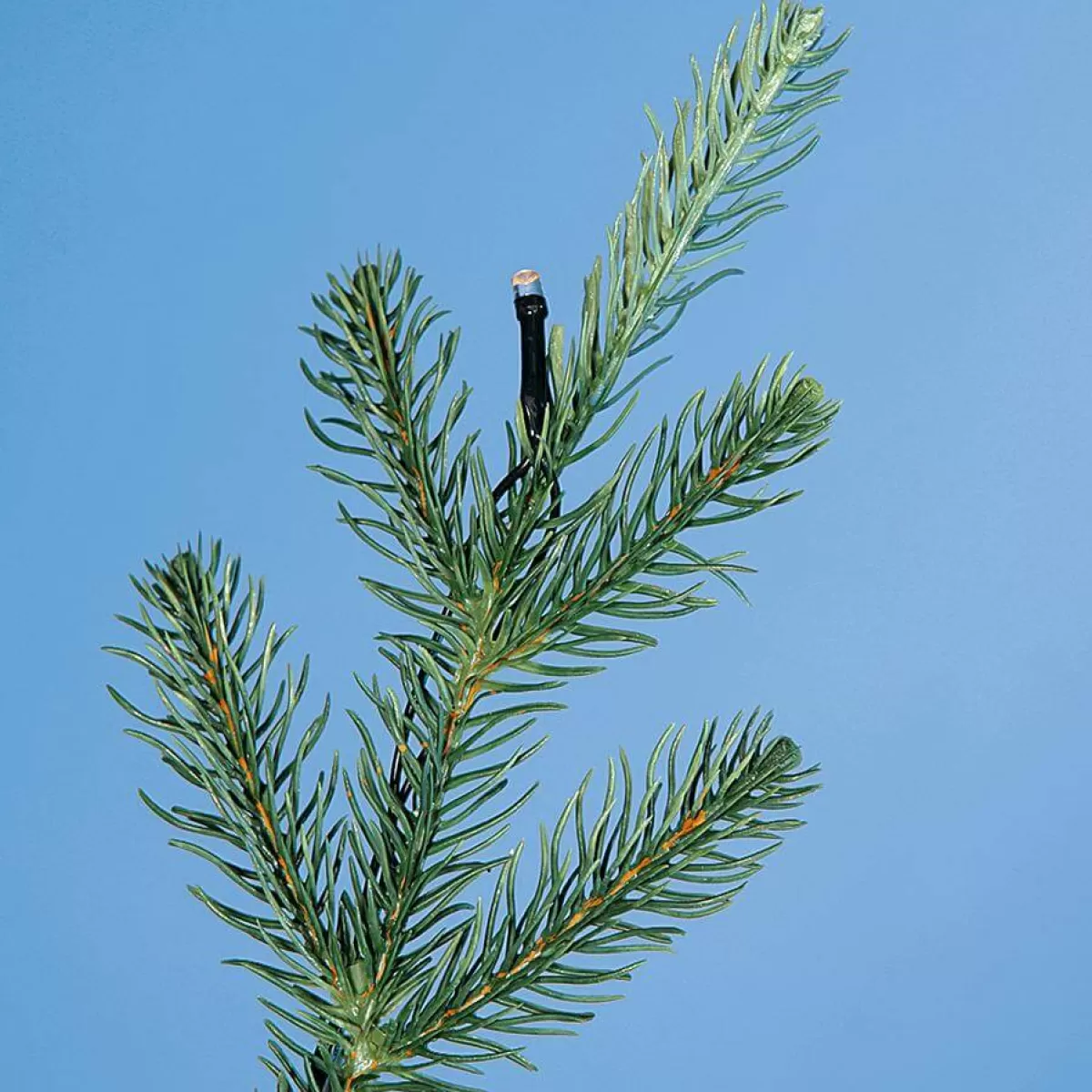 sapin_de_nol_artificiel_moul_par_injection_rottanne_avec_led_180_cm_6-1.webp DecoWoerner Sapin De Noël Artificiel Moulé Par Injection Rottanne Avec LED 180 Cm