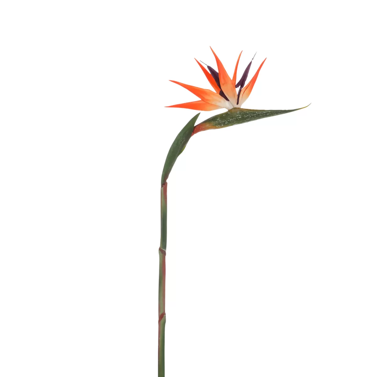DecoWoerner Strelizia Artificiel Fleur D'oiseau De Paradis 14 X 84 Cm