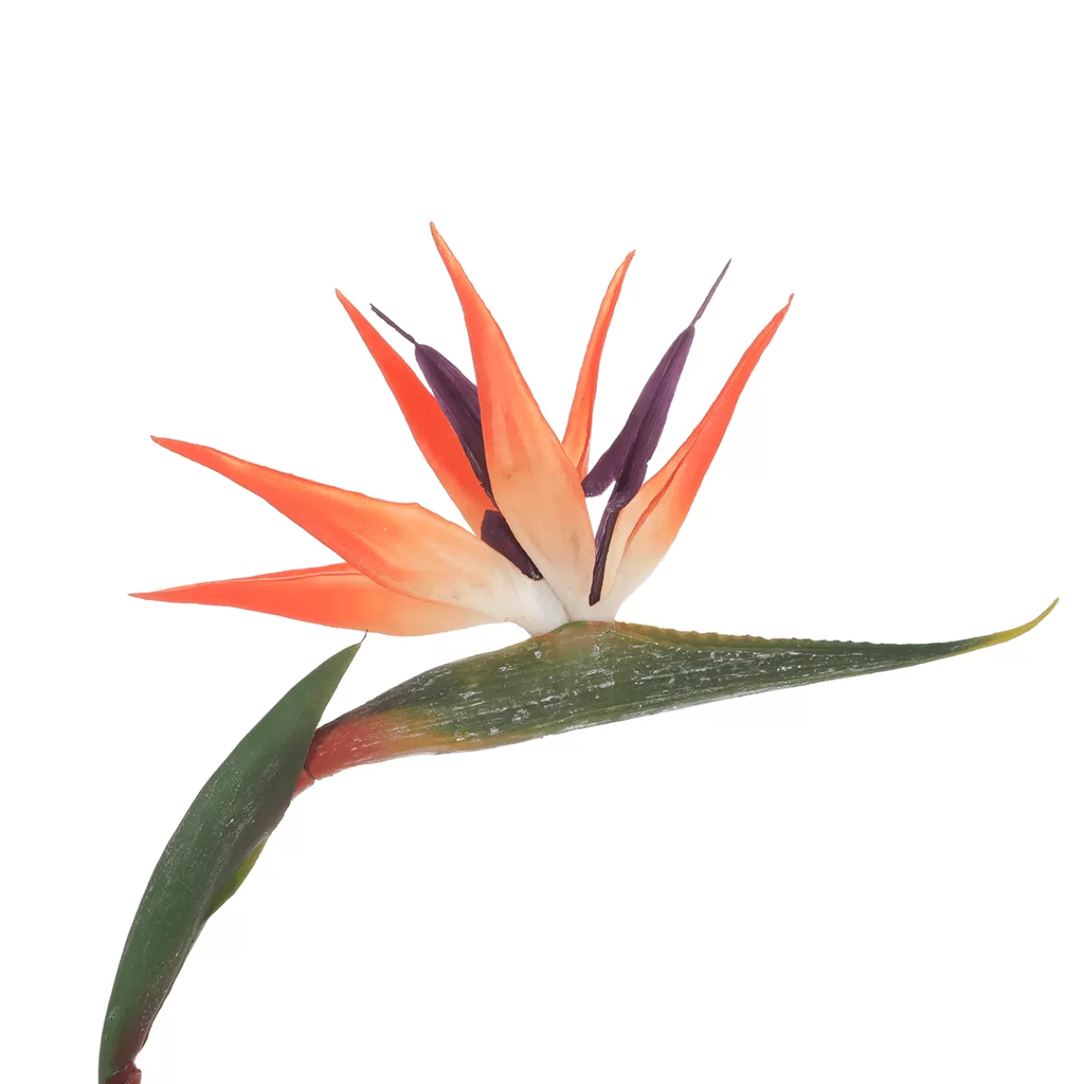 DecoWoerner Strelizia Artificiel Fleur D'oiseau De Paradis 14 X 84 Cm