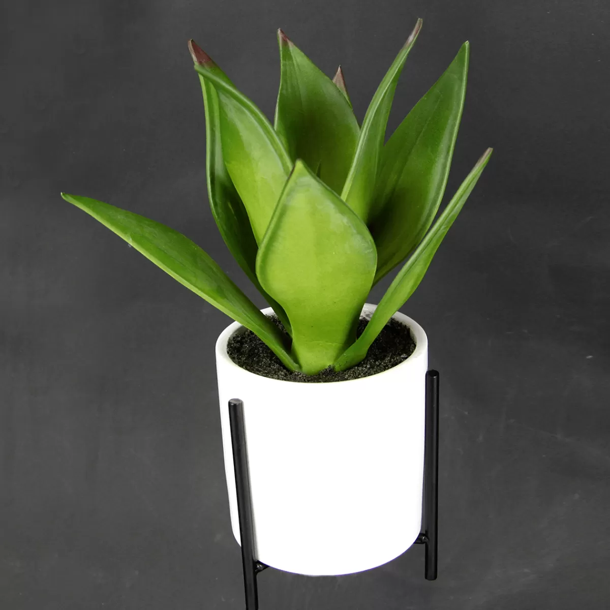 succulente_artificielle_en_pot_blanc_27_cm_3.webp DecoWoerner Succulente Artificielle En Pot Blanc 27 Cm