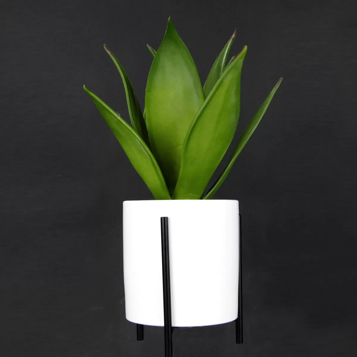 succulente_artificielle_en_pot_blanc_27_cm_4.webp DecoWoerner Succulente Artificielle En Pot Blanc 27 Cm