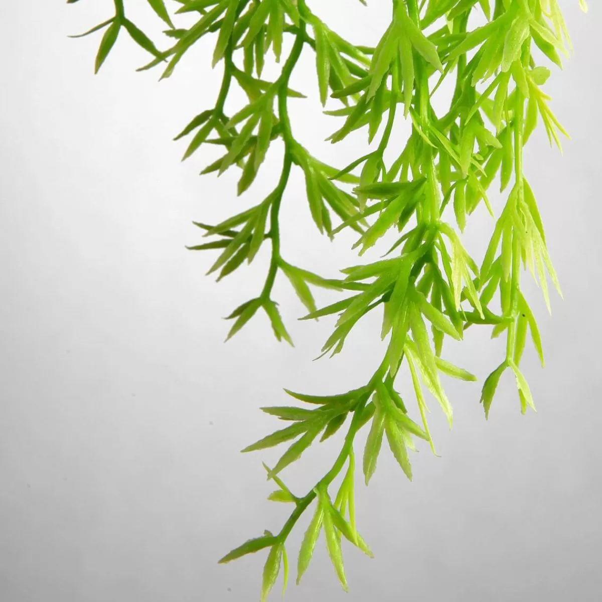 suspension_de_plantes_artificielles_asperges_ornementales_vert_84_cm_3.webp DecoWoerner Suspension De Plantes Artificielles Asperges Ornementales , 84 Cm
