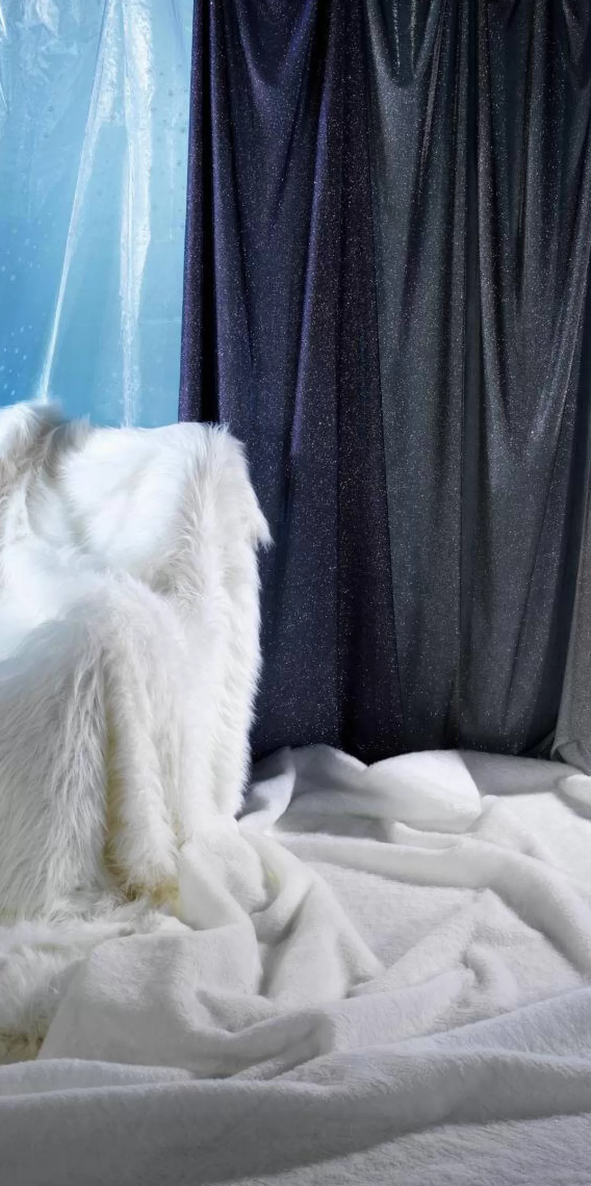 DecoWoerner Tissu Flocons De Neige En Organza Larg. 150 Cm